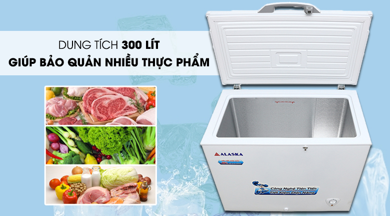 Tủ đông Alaska 300 lít BD-300 Tủ đông Alaska 300 lít BD-300