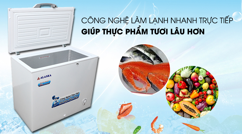 Tủ đông Alaska 300 lít BD-300 Tủ đông Alaska 300 lít BD-300