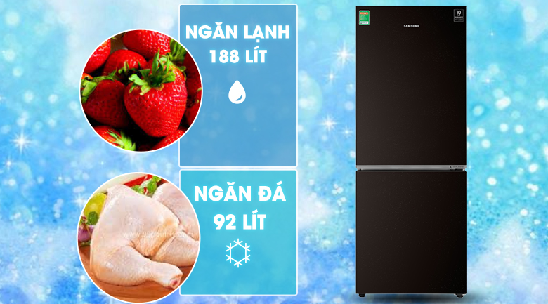 Tủ lạnh Samsung Inverter 280 lít RB27N4010BY/SV Tủ lạnh Samsung Inverter 280 lít RB27N4010BY/SV