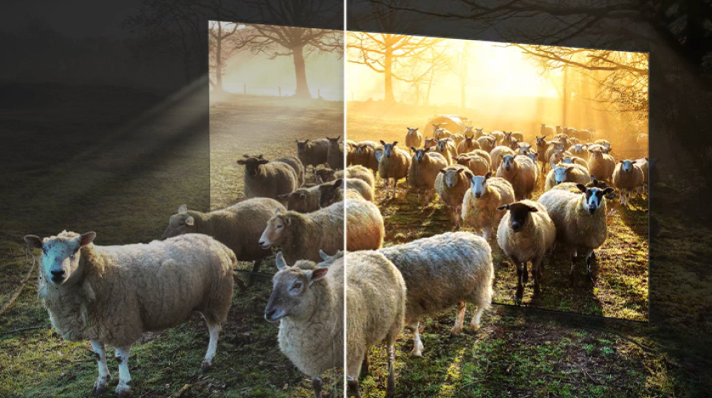 Smart Tivi Neo QLED 8K 75 inch Samsung QA75QN800C Smart Tivi Neo QLED 8K 75 inch Samsung QA75QN800C