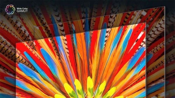 Google Tivi TCL 4K 55 inch 55P745 Google Tivi TCL 4K 55 inch 55P745