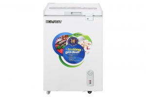 Tủ đông Hòa Phát 107 lít HCF 106S1Đ