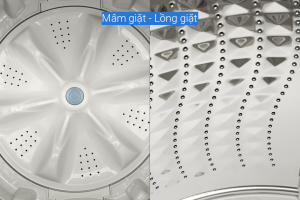 Máy giặt Samsung Inverter 9.5 kg WA95CG4545BDSV