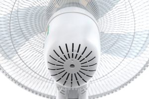 Quạt cây Toshiba 5 cánh F-LSA20(H)VN 60W