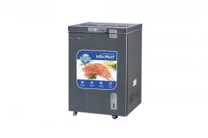 Tủ đông Hòa Phát 107 lít HPF AD6107G
