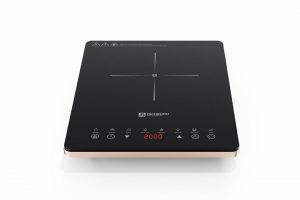 Bếp từ đơn RICHBORN RI3528 D17G