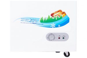 Tủ đông Sanaky 900 lít VH 1199HYK