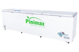 Tủ đông Pinimax 1300 lít PNM 139AF