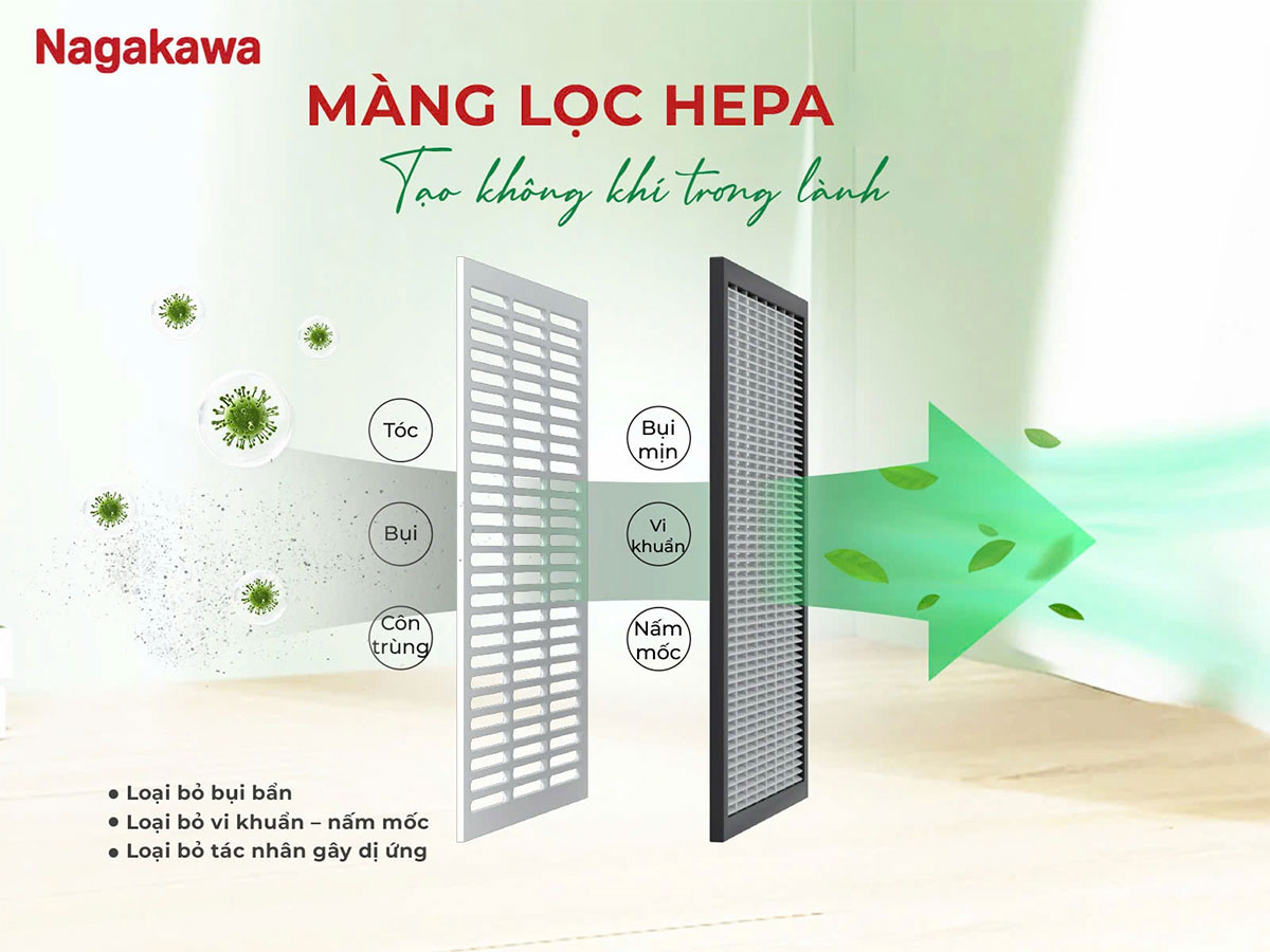 Máy hút ẩm lọc không khí