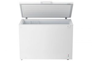 Tủ đông LG inverter 291 lít C30WH