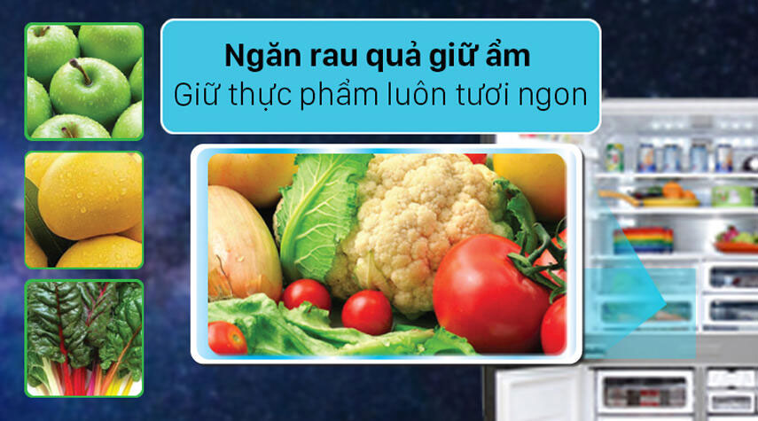 Tủ lạnh 4 cánh