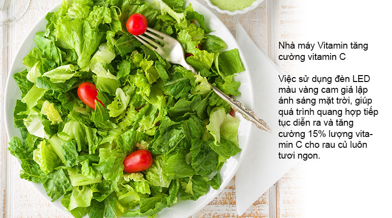 Ngăn rau củ tạo điều kiện cho rau củ quang hợp, tạo Vitamin