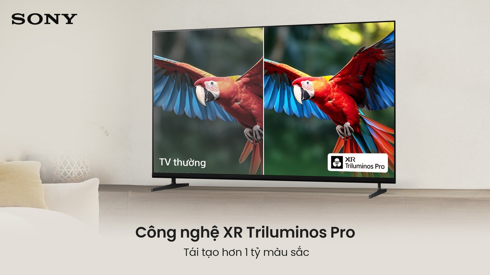 XR Triluminos Pro Sony Google Smart TV BRAVIA 3 II K-55XR30M2