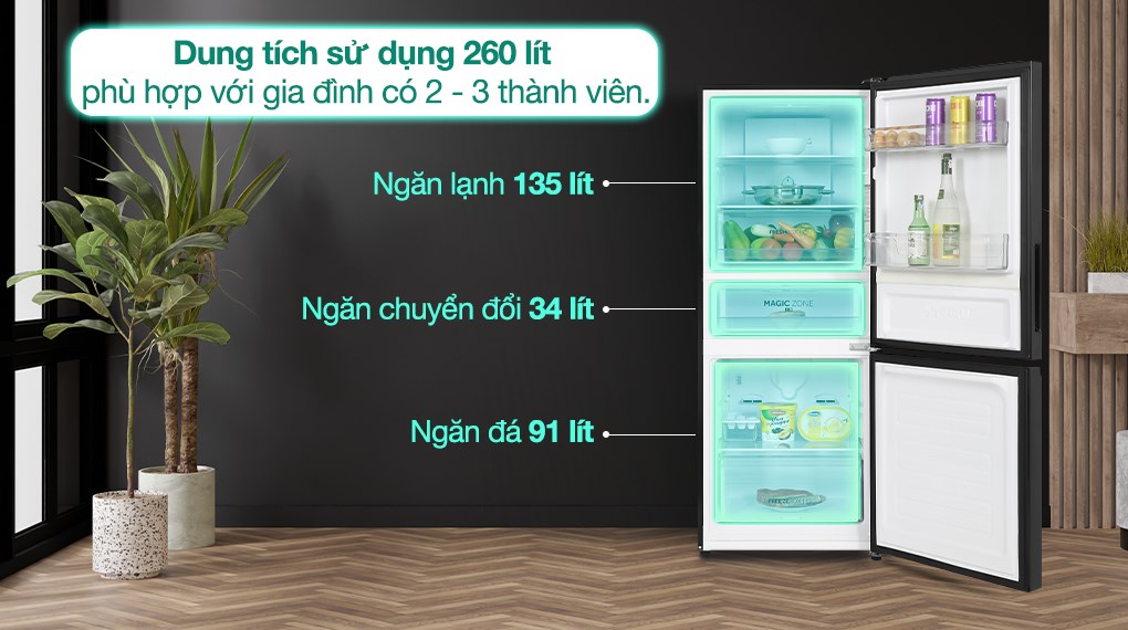 Tủ lạnh Aqua Inverter 260 lít AQR-B310MA(FB) - Dung tích Tủ lạnh Aqua Inverter 260 lít AQR-B310MA(FB) - Dung tích
