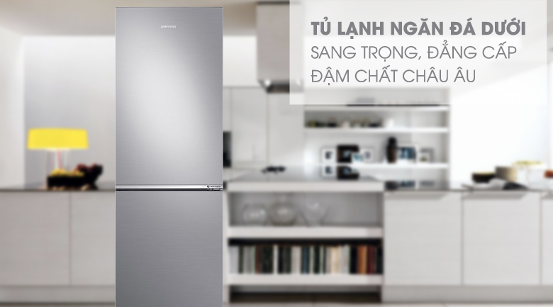 Tủ lạnh Samsung Inverter 310 lít RB30N4010S8/SV