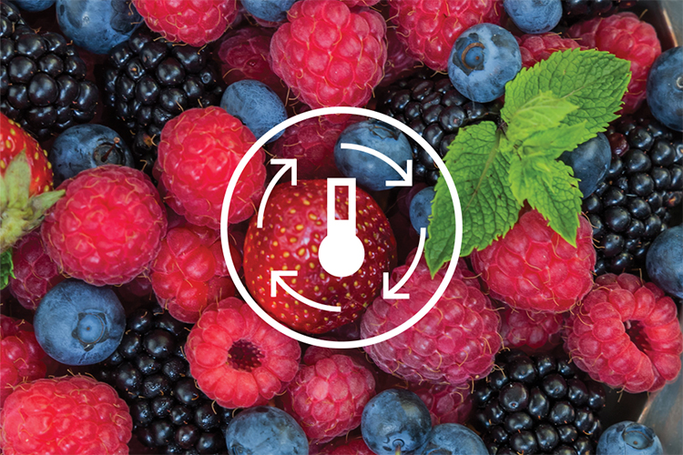 Tủ lạnh Electrolux Inverter 341 lít ETB3740K-A