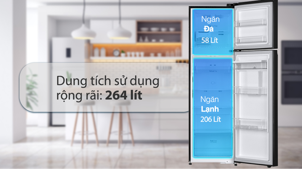 Tủ lạnh LG Inverter 264 Lít GV-D262BL