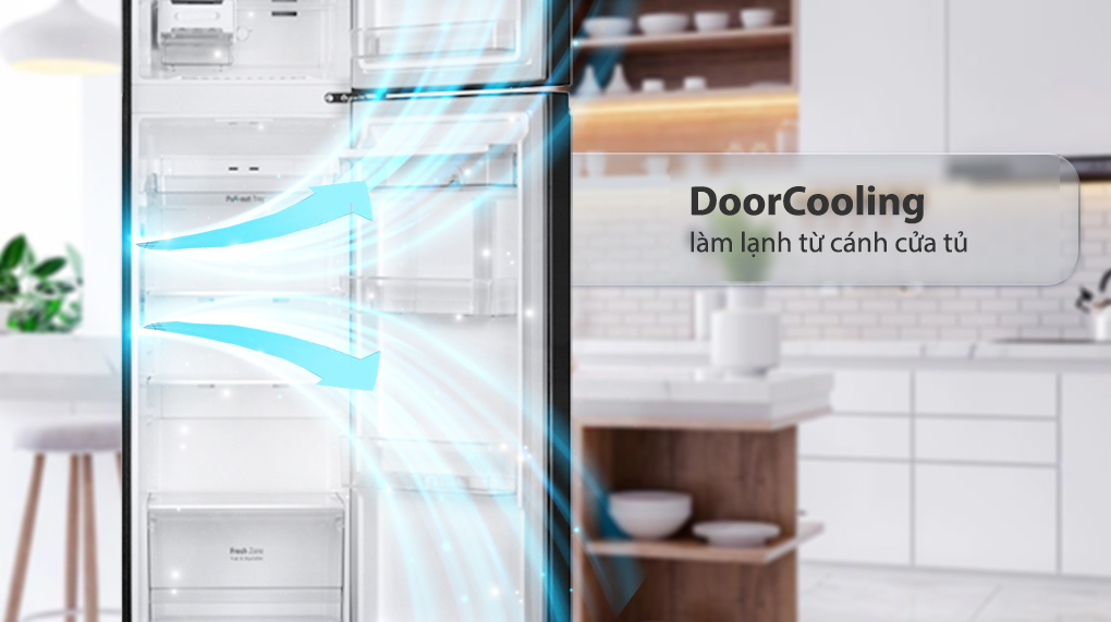 Tủ lạnh LG Inverter 264 Lít GV-D262BL