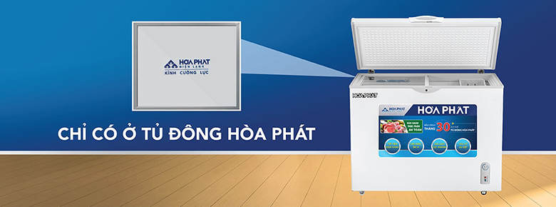 Tủ đông Hòa Phát 252 lít HCF 516S1Đ1