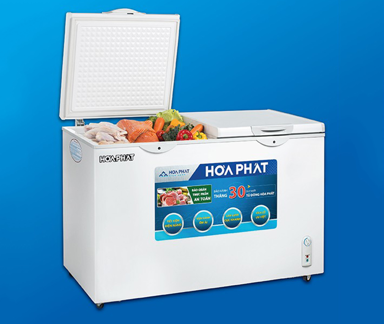 Tủ đông Hòa Phát 205 lít HCF 506S2Đ2