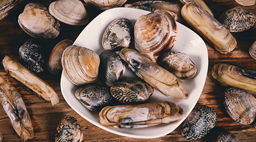 Máy rửa bát Texgio 6 Bộ TG-DT2022B - Tự Động Mồi Nước