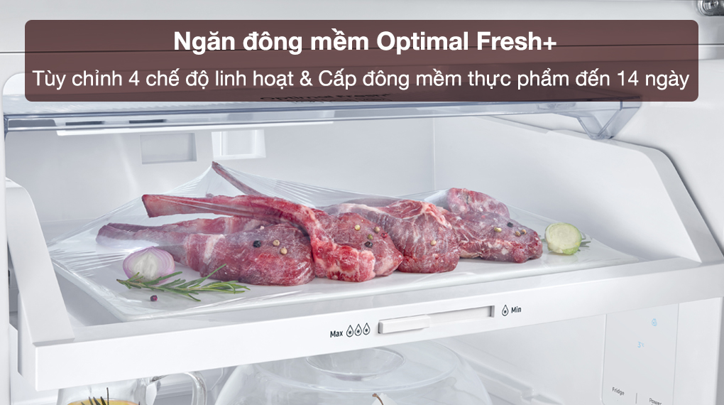 Tủ lạnh Samsung Inverter 305 lít RT31CG5424B1SV