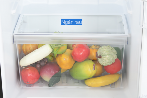 Tu Lanh Toshiba Inverter 233 Lit Gr Rt303we Pmv52