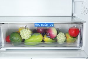 Tu Lanh Toshiba Inverter 515 Lit Gr Rf665wia Pgv22 Xk