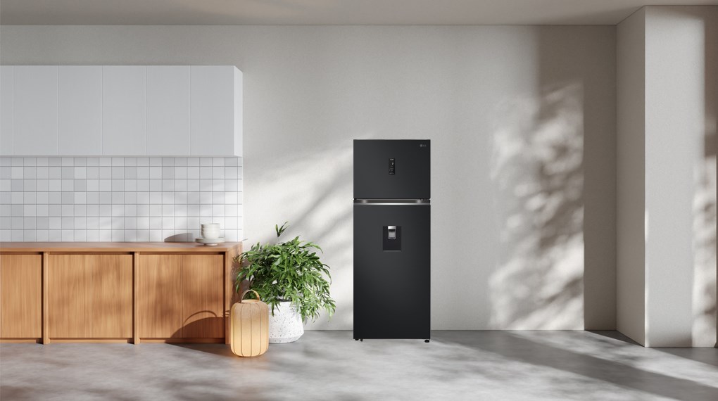 Tủ lạnh LG Inverter 459 lít LTD46BLMA - Tổng quan thiết kế