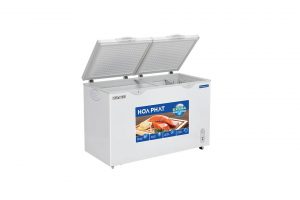 Tủ đông Hòa Phát Inverter 205 lít HPF BD8205