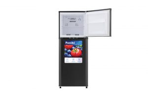Tủ lạnh Inverter 209L Funiki HR-T8209TDG