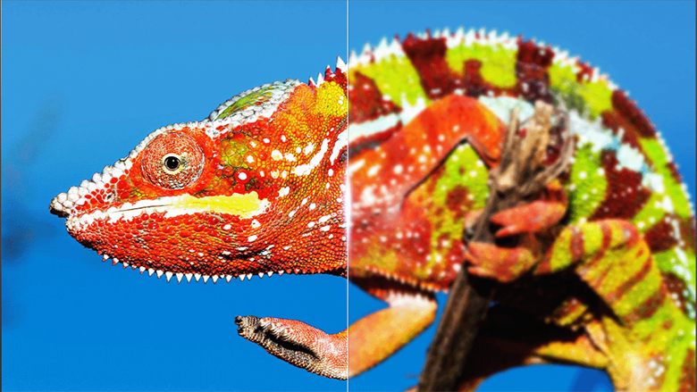 Ai Clarity - Google Tivi TCL 4K 43 inch 43P755