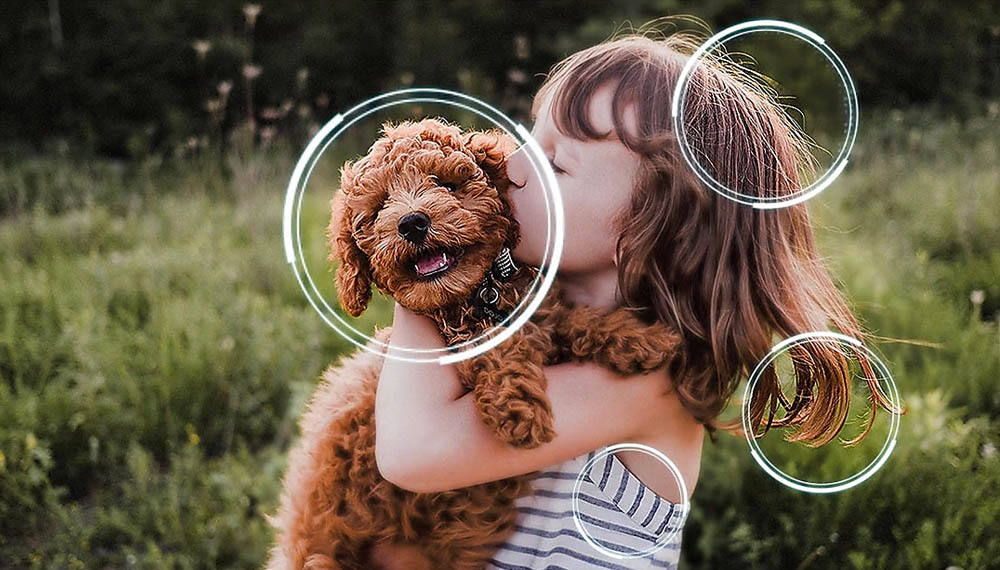 Smart Tivi Samsung QA55S90F tự động nâng cấp hình ảnh