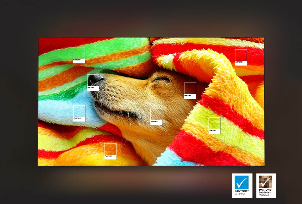 Smart Tivi Samsung OLED 4K QA55S90F tái tạo màu sắc chân thật