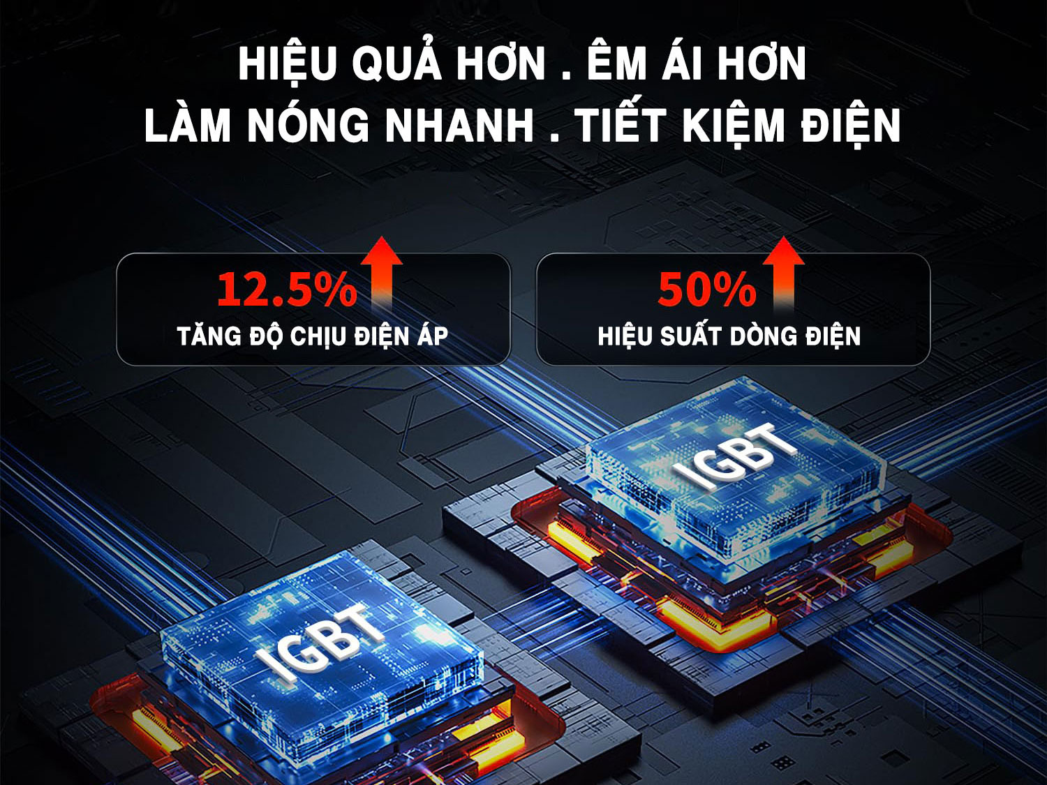 Bếp từ Richborn 