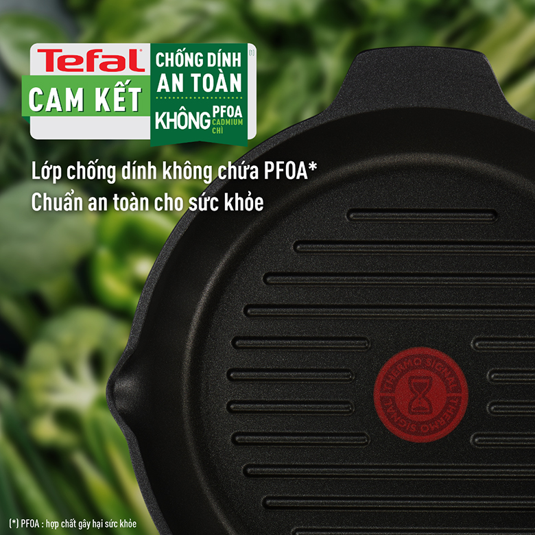 Chảo đúc cao cấp nướng, chiên Tefal Robusto có miệng rót E2494044 Size 26cm - Lớp phủ chống dính Titanium