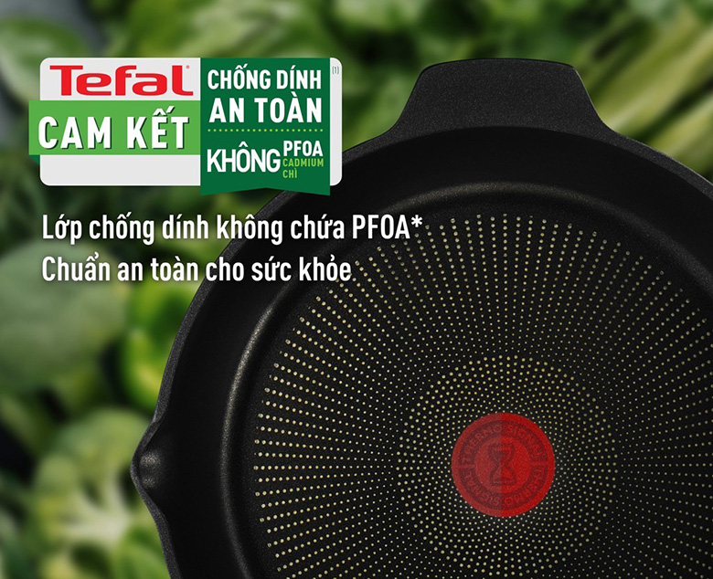 Chảo đúc cao cấp Tefal Robusto có miệng rót 22cm E2490344 chống dính an toàn