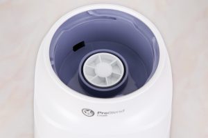 Máy xay sinh tố đa năng Philips HR2221/00