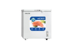 Tủ đông Hòa Phát 162 lít HPF AN6162