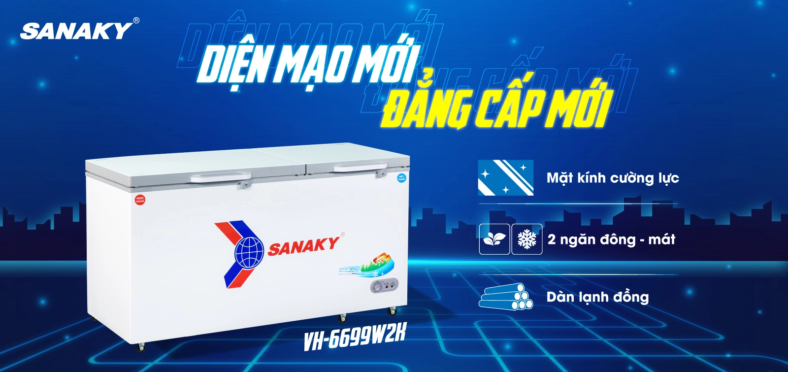 Tủ đông Sanaky VH-6699W2K