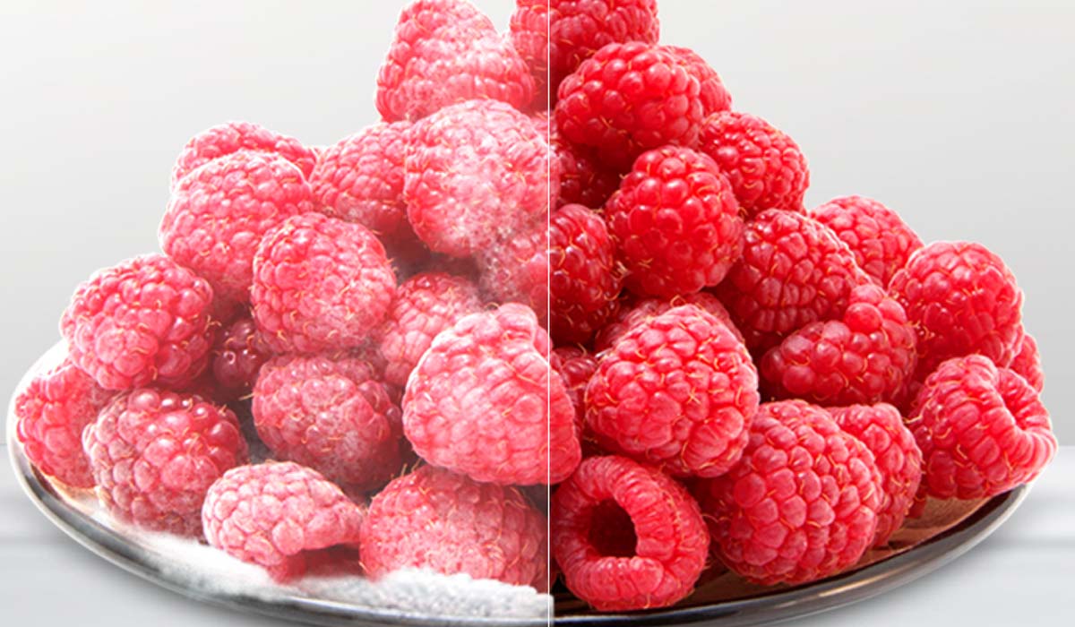 Không đóng tuyết Total No Frost