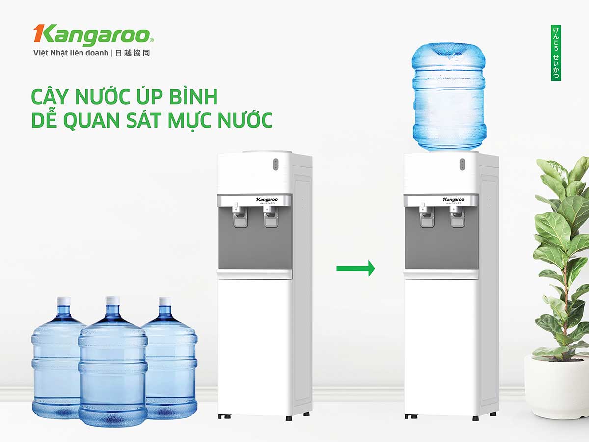 Thiết Kế Cây Úp Bình Gọn Gàng