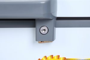 Tủ đông Darling 260 lít DMF-3999W2