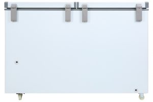 Tủ đông Darling 260 lít DMF-3999W2