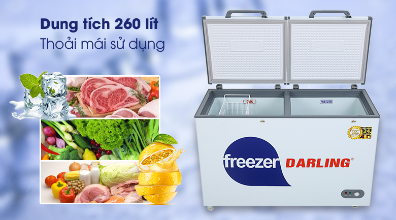 Tủ đông Darling 260 lít DMF-3999 W2 - dung tích