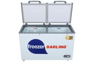 Tủ đông Darling 260 lít DMF-3999W2