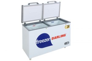Tủ đông Darling 260 lít DMF-3999W2