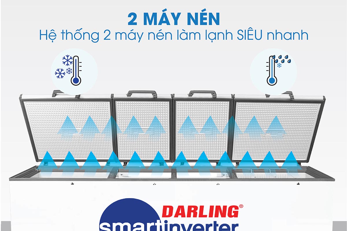 Tủ đông sử dụng 2 máy nén