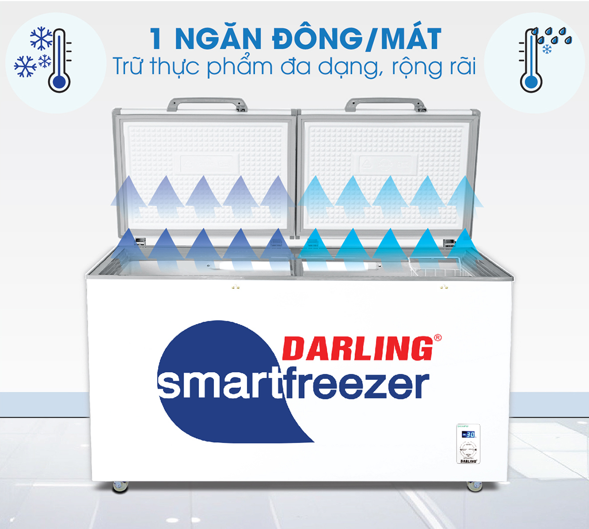 tủ đông darling