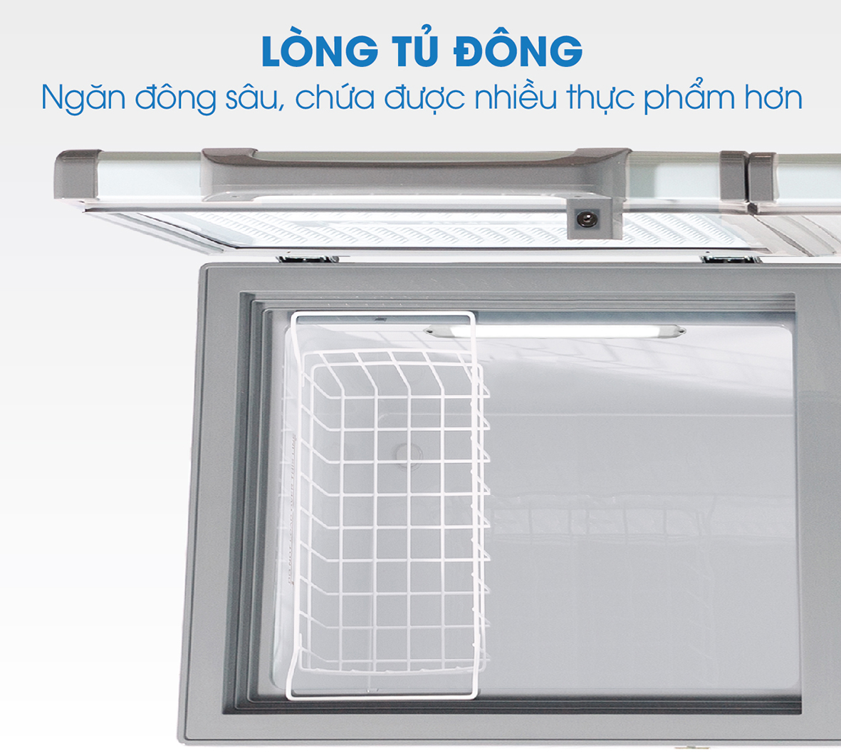tủ đông inverter
